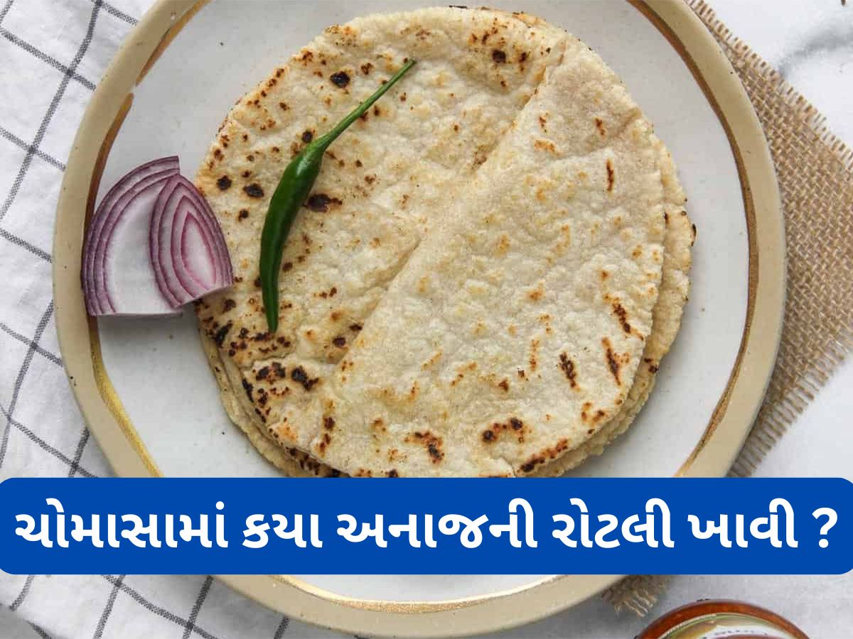 Health Tips: ઘઉં, જુવાર કે બાજરો ? જાણો ચોમાસા દરમિયા કયા અનાજની રોટલી ખાવી ફાયદાકારક Health Tips: ઘઉં, જુવાર કે બાજરો ? જાણો ચોમાસા દરમિયા કયા અનાજની રોટલી ખાવી ફાયદાકારક