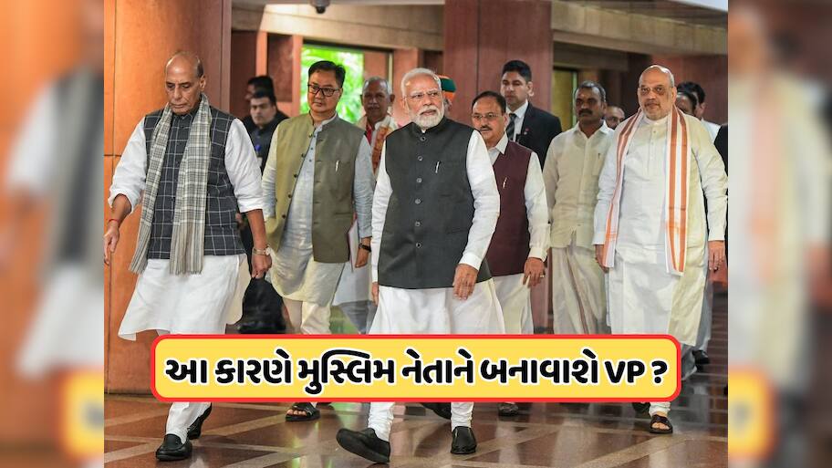 કોણ બનશે ઉપરાષ્ટ્રપતિ ? ભાજપના સંભવિત ઉમેદવારોની રેસમાં મુસ્લિમ દિગ્ગજનું નામ પણ જોડાયું, જાણો