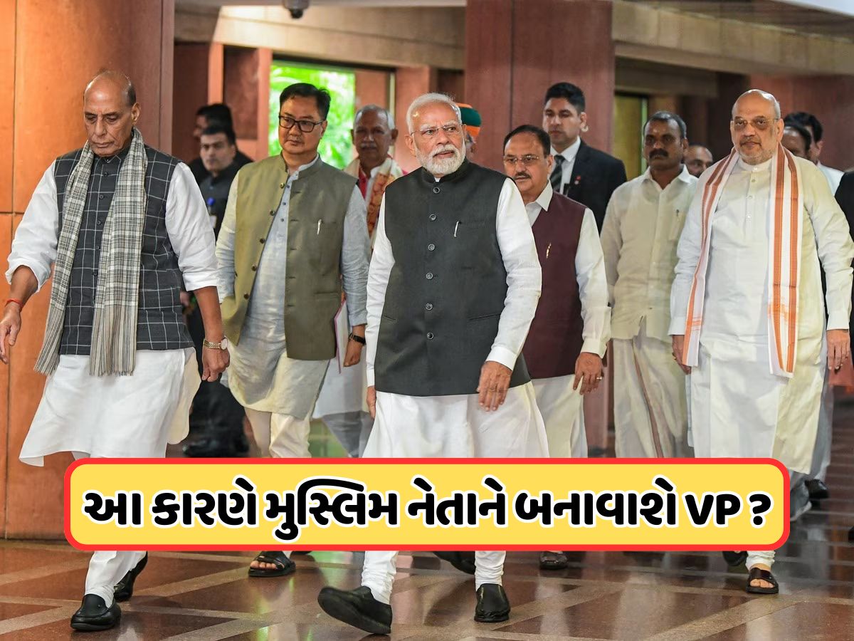 કોણ બનશે ઉપરાષ્ટ્રપતિ ? ભાજપના સંભવિત ઉમેદવારોની રેસમાં મુસ્લિમ દિગ્ગજનું નામ પણ જોડાયું, જાણો કોણ બનશે ઉપરાષ્ટ્રપતિ ? ભાજપના સંભવિત ઉમેદવારોની રેસમાં મુસ્લિમ દિગ્ગજનું નામ પણ જોડાયું, જાણો