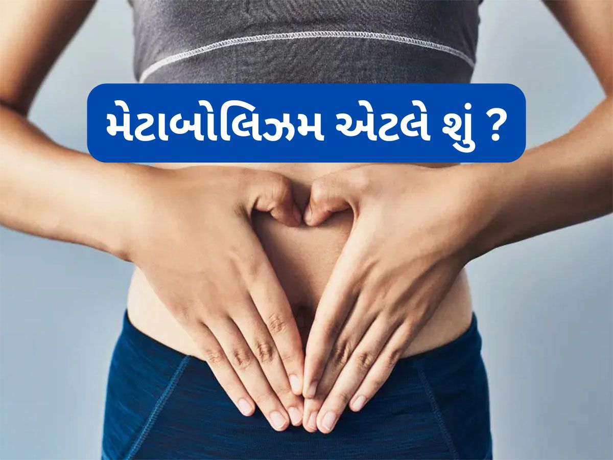 Metabolism: મેટાબોલિઝમ એટલે શું ? વજન ઘટાડવાથી લઈ શરીરને એનર્જી આપવા સુધીના કામમાં મહત્વનો છે રોલ Metabolism: મેટાબોલિઝમ એટલે શું ? વજન ઘટાડવાથી લઈ શરીરને એનર્જી આપવા સુધીના કામમાં મહત્વનો છે રોલ
