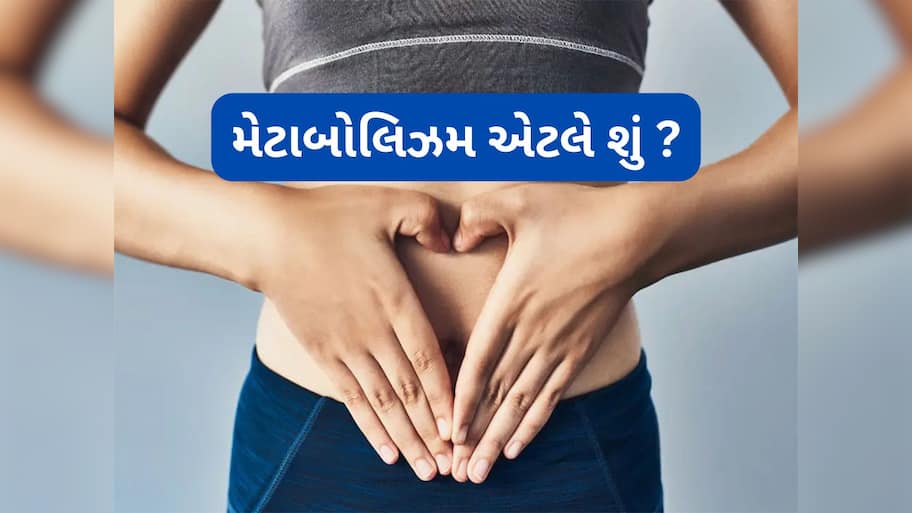 Metabolism: મેટાબોલિઝમ એટલે શું ? વજન ઘટાડવાથી લઈ શરીરને એનર્જી આપવા સુધીના કામમાં મહત્વનો છે રોલ