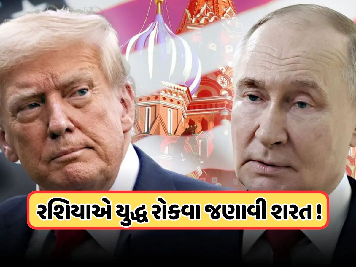 પુતિને ટ્રમ્પ સામે યુદ્ધ રોકવા રાખી શરત, યુક્રેને કરવું પડશે આ કામ, ઝેલેન્સકીએ આપ્યો આવો જવાબ પુતિને ટ્રમ્પ સામે યુદ્ધ રોકવા રાખી શરત, યુક્રેને કરવું પડશે આ કામ, ઝેલેન્સકીએ આપ્યો આવો જવાબ