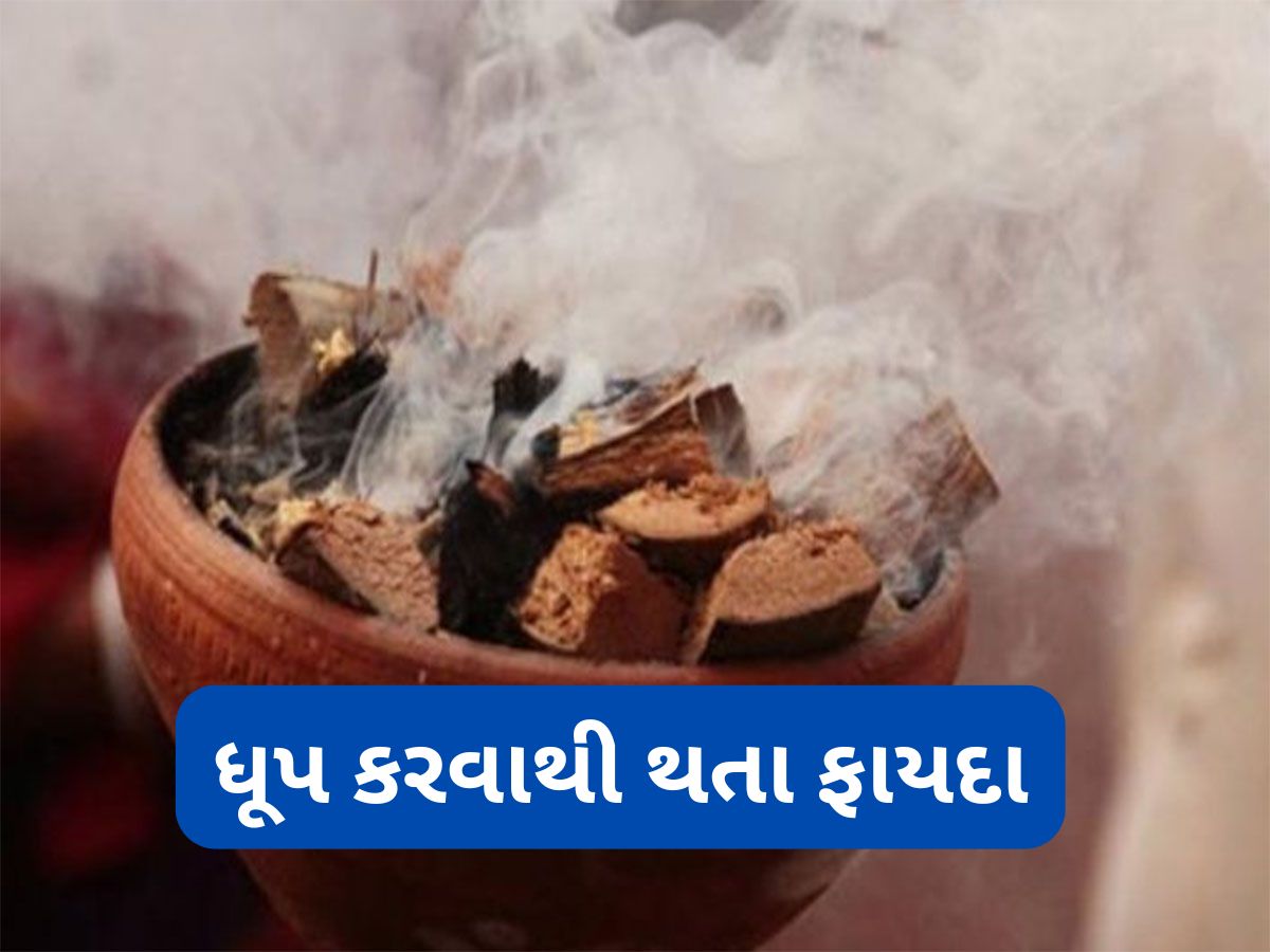 LifeHacks: કપૂર સાથે આ 2 વસ્તુ ઘરમાં સળગાવવાથી દુર થશે બેક્ટેરિયા અને નેગેટીવિટી LifeHacks: કપૂર સાથે આ 2 વસ્તુ ઘરમાં સળગાવવાથી દુર થશે બેક્ટેરિયા અને નેગેટીવિટી