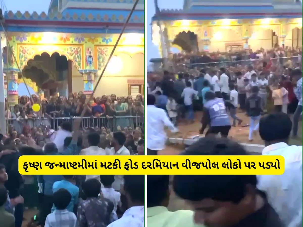 કચ્છમાં મટકીફોડ કાર્યક્રમમાં મોટી દુર્ઘટના, વીજપોલ તૂટી પડતા એક કિશોરનું મોત કચ્છમાં મટકીફોડ કાર્યક્રમમાં મોટી દુર્ઘટના, વીજપોલ તૂટી પડતા એક કિશોરનું મોત