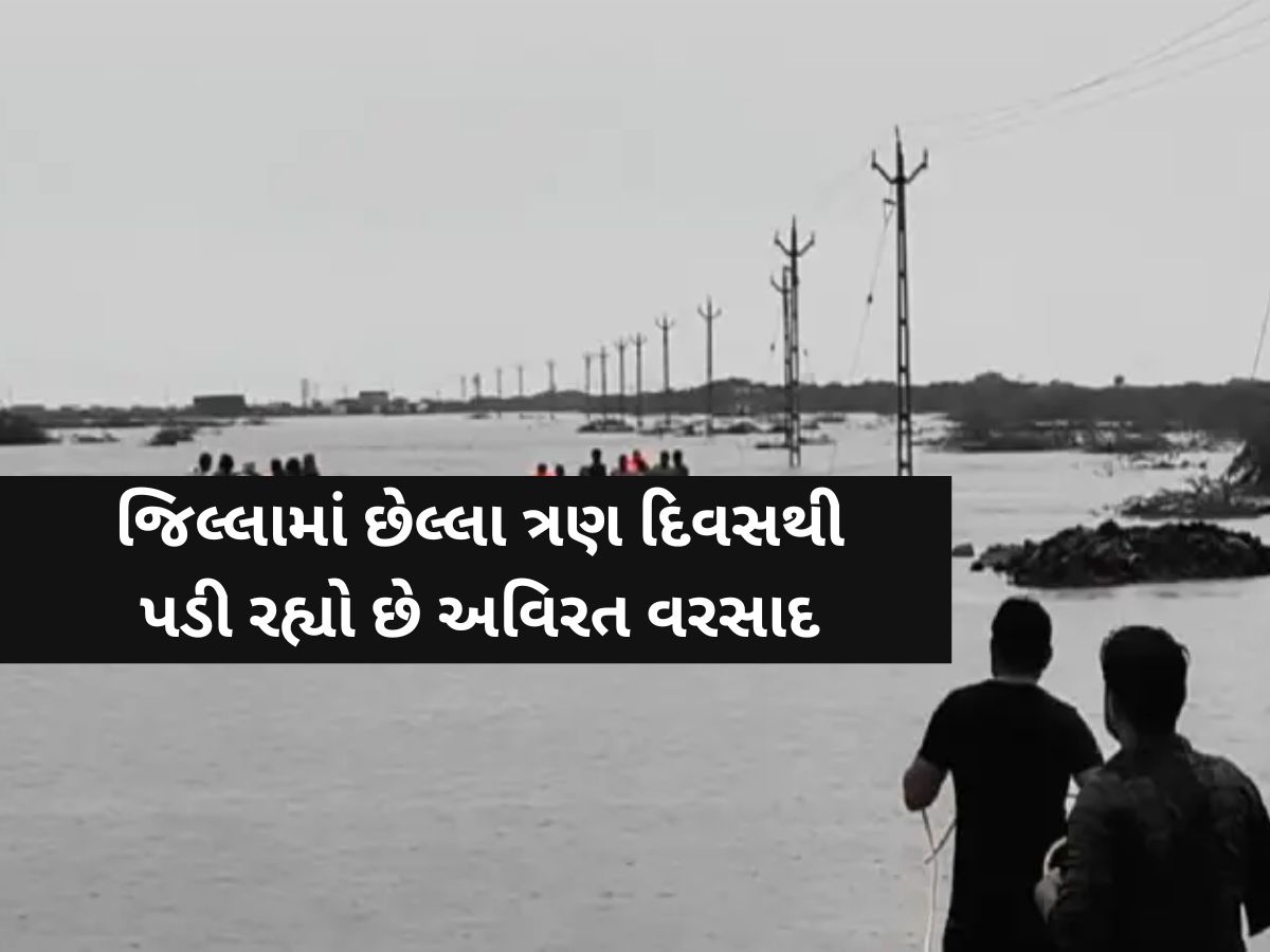 કડાકા ભડાકા સાથે ગુજરાતના આ જિલ્લામાં ધોધમાર વરસાદ; છેલ્લા 3 દિવસથી પડી રહ્યો છે મેઘો! કડાકા ભડાકા સાથે ગુજરાતના આ જિલ્લામાં ધોધમાર વરસાદ; છેલ્લા 3 દિવસથી પડી રહ્યો છે મેઘો!