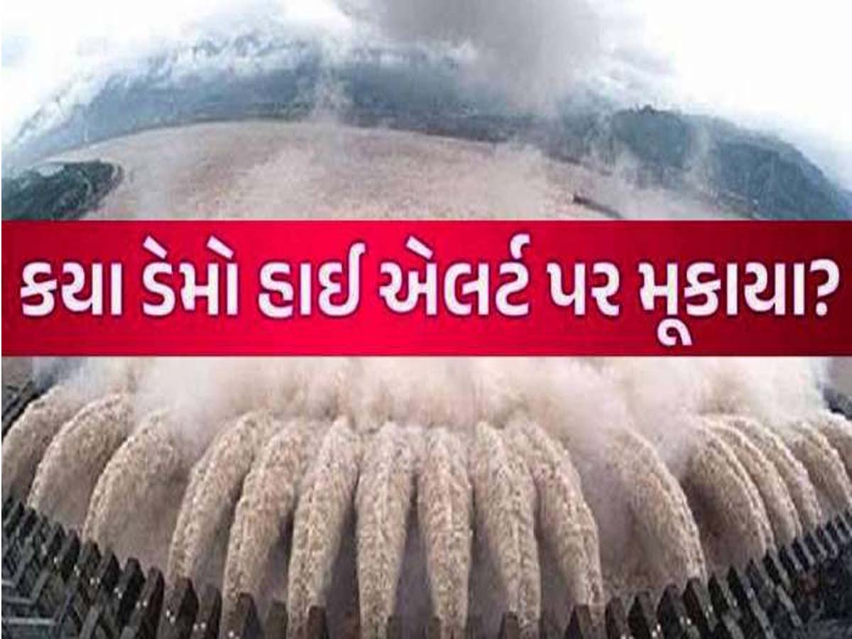 ગુજરાતના માછીમારોને હવામાન વિભાગની ચેતવણી! જાણો રાજ્યના 207 જળાશયોની શું છે સ્થિતિ? ગુજરાતના માછીમારોને હવામાન વિભાગની ચેતવણી! જાણો રાજ્યના 207 જળાશયોની શું છે સ્થિતિ?