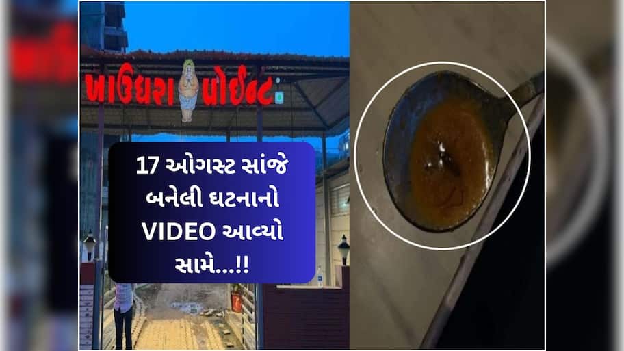 છીં...છીં...છીં...અમદાવાદના ખાઉધરા પોઈન્ટના સાંભારમાંથી 'વંદો' નીકળ્યો! ગ્રાહકને કડવો અનુભવ