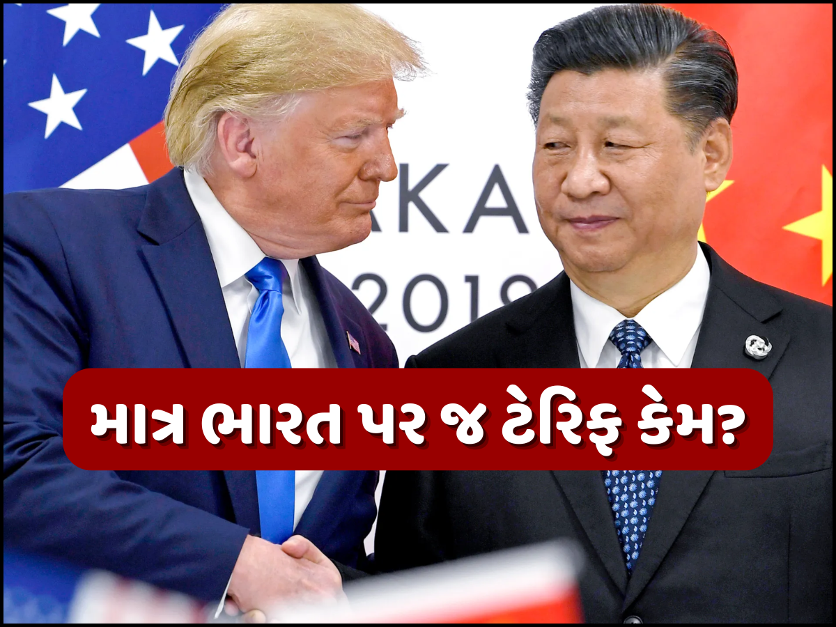 ભારતથી વધુ ચીન ખરીદે છે રશિયા પાસેથી તેલ, તો પછી કેમ ન લગાવ્યો ટેરિફ? આવી ગયો અમેરિકાનો જવાબ ભારતથી વધુ ચીન ખરીદે છે રશિયા પાસેથી તેલ, તો પછી કેમ ન લગાવ્યો ટેરિફ? આવી ગયો અમેરિકાનો જવાબ