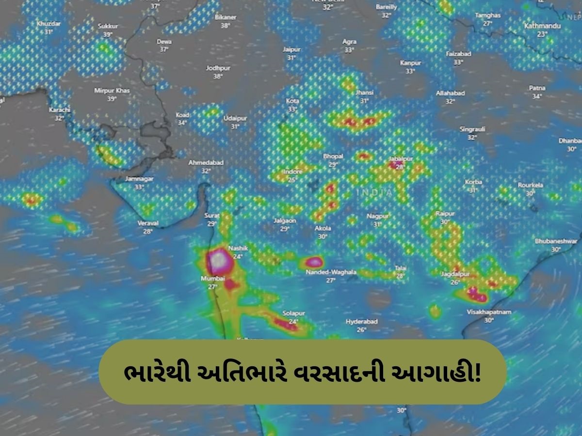 ગુજરાતમાં સાત દિવસ સાર્વત્રિક વરસાદની આગાહી, હવામાન વિભાગે જાહેર કર્યું રેડ અને યલો એલર્ટ ગુજરાતમાં સાત દિવસ સાર્વત્રિક વરસાદની આગાહી, હવામાન વિભાગે જાહેર કર્યું રેડ અને યલો એલર્ટ