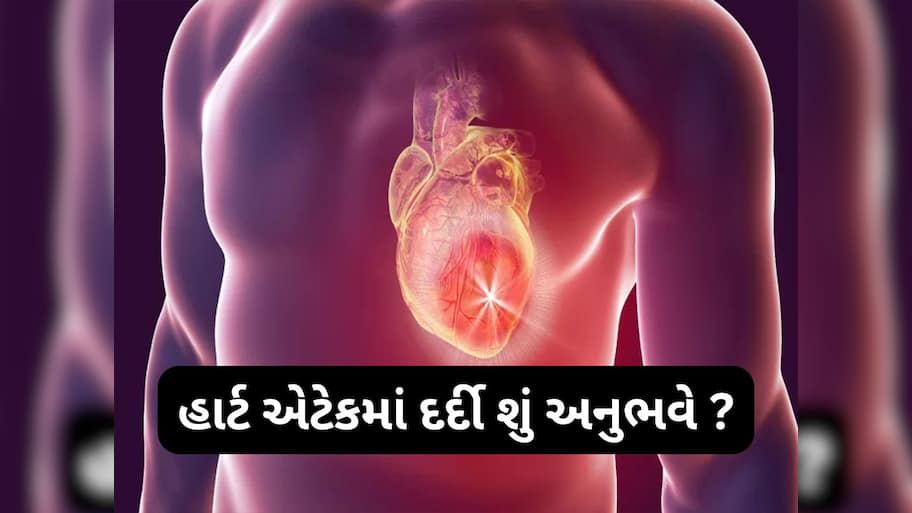 Heart Attack: હાર્ટ એટેક આવે ત્યારે દર્દી શું અનુભવે ? માધુરી દીક્ષિતના પતિ ડો રામ નેને એ આપી વિસ્તારપૂર્વક જાણકારી