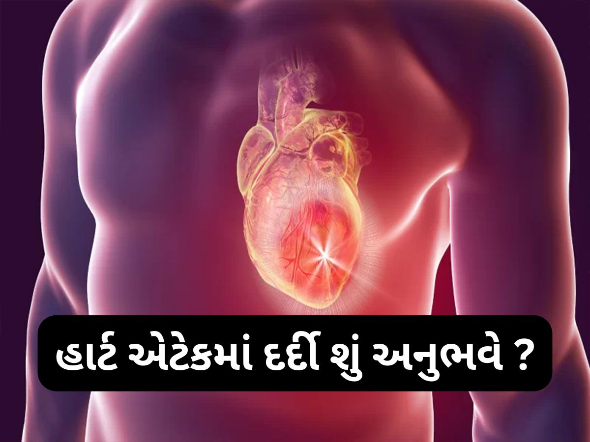 Heart Attack: હાર્ટ એટેક આવે ત્યારે દર્દી શું અનુભવે ? માધુરી દીક્ષિતના પતિ ડો રામ નેને એ આપી વિસ્તારપૂર્વક જાણકારી Heart Attack: હાર્ટ એટેક આવે ત્યારે દર્દી શું અનુભવે ? માધુરી દીક્ષિતના પતિ ડો રામ નેને એ આપી વિસ્તારપૂર્વક જાણકારી