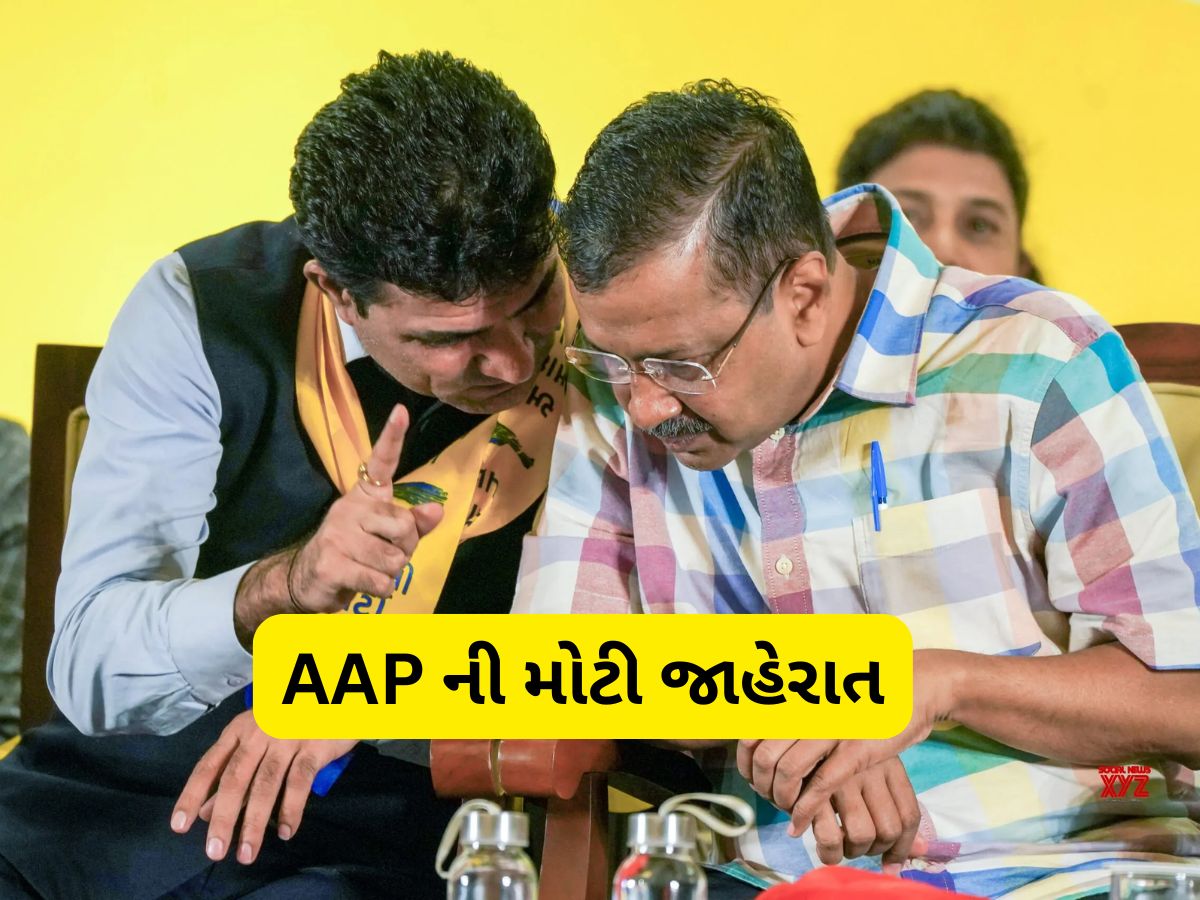 AAP નો ગુજરાતમાં મોટો દાવ, આટલી બેઠકો પર લડશે સ્થાનિક સ્વરાજ્યની ચૂંટણી AAP નો ગુજરાતમાં મોટો દાવ, આટલી બેઠકો પર લડશે સ્થાનિક સ્વરાજ્યની ચૂંટણી