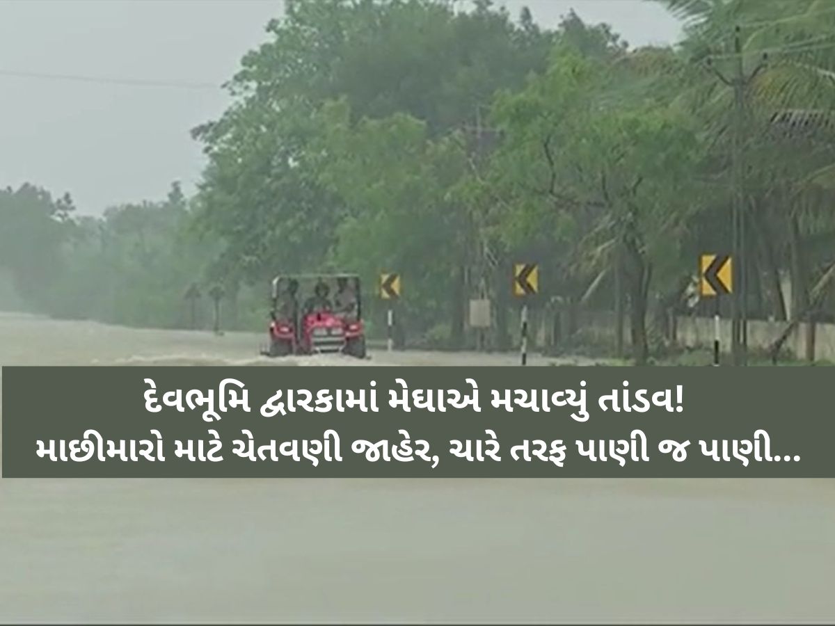 દેવભૂમિ દ્વારકામાં બારેમેઘ ખાંગાઃ કલ્યાણપુરમાં પોણા 11 ઈંચ તો શહેરમાં 6 ઈંચ, આ 8 જિલ્લામાં રેડ ઍલર્ટ દેવભૂમિ દ્વારકામાં બારેમેઘ ખાંગાઃ કલ્યાણપુરમાં પોણા 11 ઈંચ તો શહેરમાં 6 ઈંચ, આ 8 જિલ્લામાં રેડ ઍલર્ટ