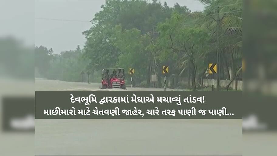 દેવભૂમિ દ્વારકામાં બારેમેઘ ખાંગાઃ કલ્યાણપુરમાં પોણા 11 ઈંચ તો શહેરમાં 6 ઈંચ, આ 8 જિલ્લામાં રેડ ઍલર્ટ