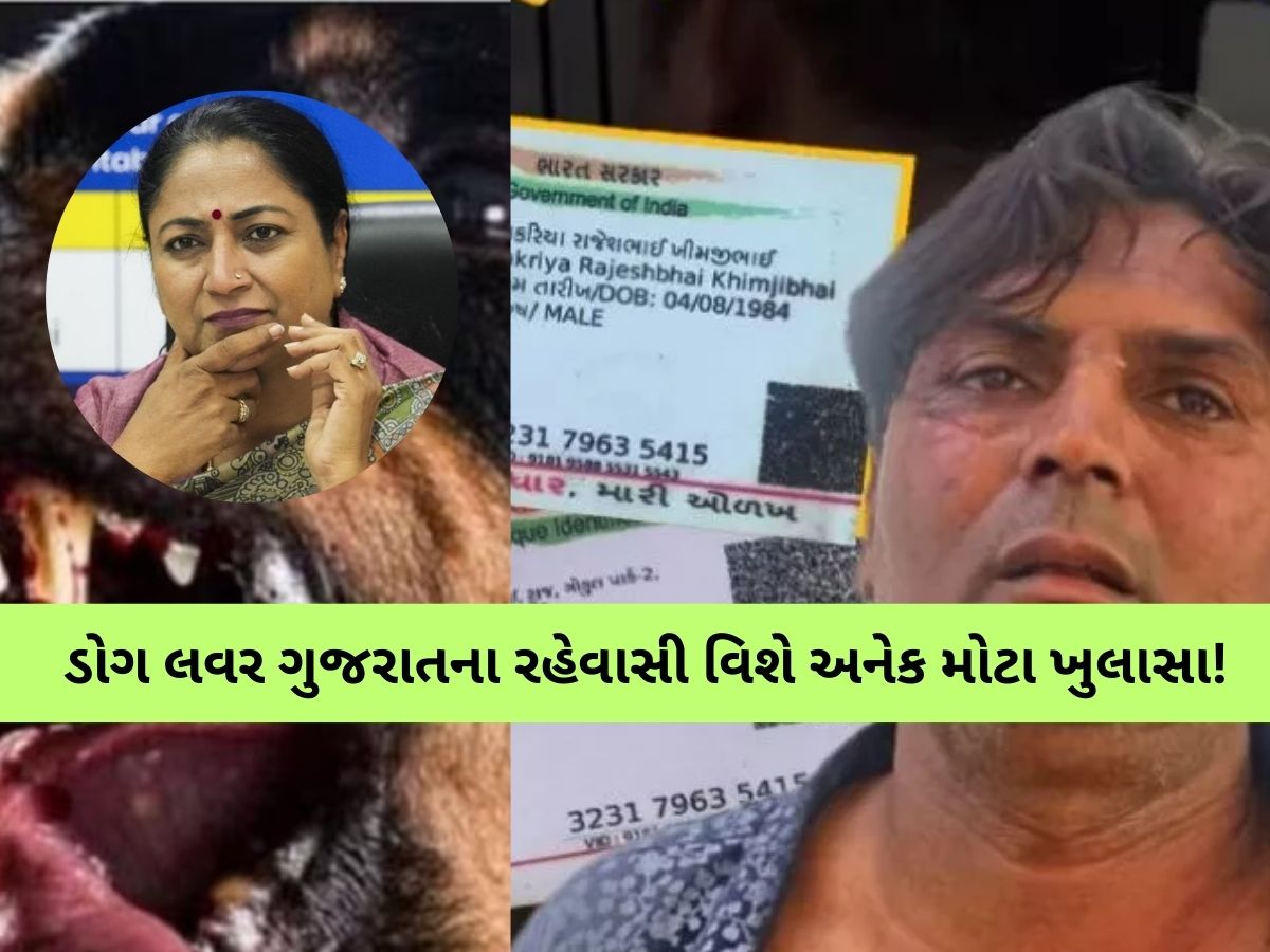 દિલ્હી CM પર હુમલો કરનાર રાજકોટનો રહેવાસી છે ડોગ લવર; દીકરા વિશે માતાના ચોંકાવનારા ખુલાસા! દિલ્હી CM પર હુમલો કરનાર રાજકોટનો રહેવાસી છે ડોગ લવર; દીકરા વિશે માતાના ચોંકાવનારા ખુલાસા!