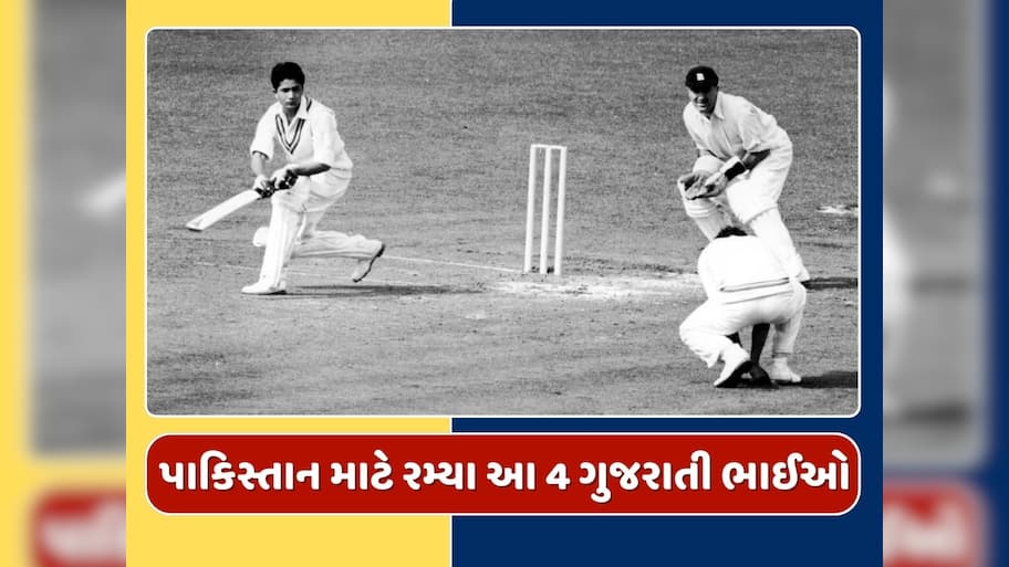 ગુજરાતના એ 4 ભાઈઓ, જે પાકિસ્તાન માટે રમ્યા હતા આંતરરાષ્ટ્રીય ક્રિકેટ, હવે પૌત્ર પણ છે ક્રિકેટર 