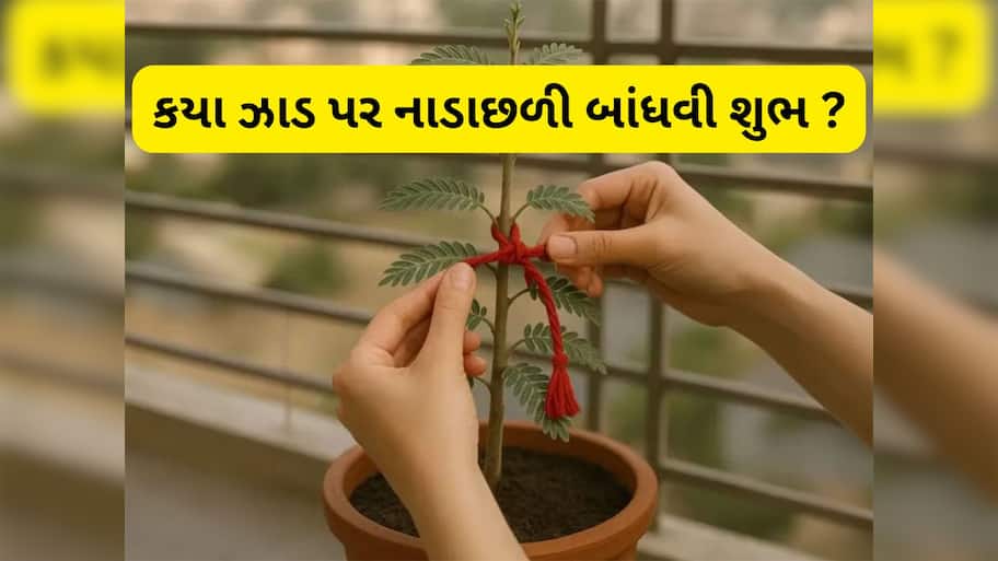 Kalawa: આ 5 ઝાડ પર નાડાછળી બાંધવાથી ઘરમાં થાય છે માં લક્ષ્મીનું આગમન, ગ્રહ દોષથી પણ મળશે મુક્તિ