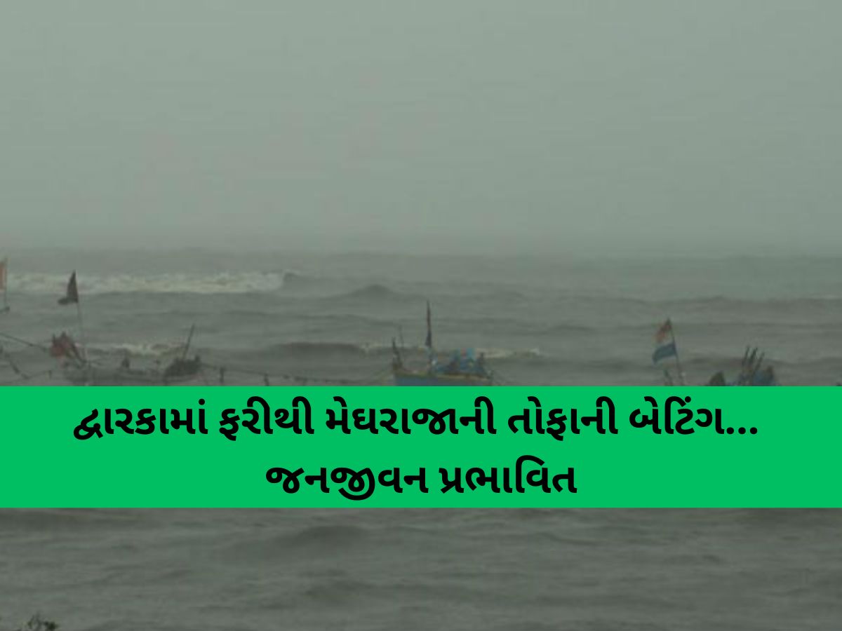આવી રહ્યો છે મહાખતરો! ગુજરાતમાં સંભવિત ખતરાને ધ્યાનમાં રાખીને ઓખા બંદર પર 3 નંબરનું સિગ્નલ આવી રહ્યો છે મહાખતરો! ગુજરાતમાં સંભવિત ખતરાને ધ્યાનમાં રાખીને ઓખા બંદર પર 3 નંબરનું સિગ્નલ