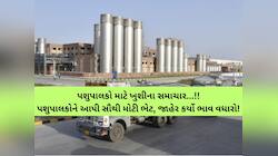 આનંદો! ઉત્તર ગુજરાતની આ ડેરીએ જાહેર કર્યો 29090800000 રૂપિયાનો ઐતિહાસિક ભાવફેર નફો