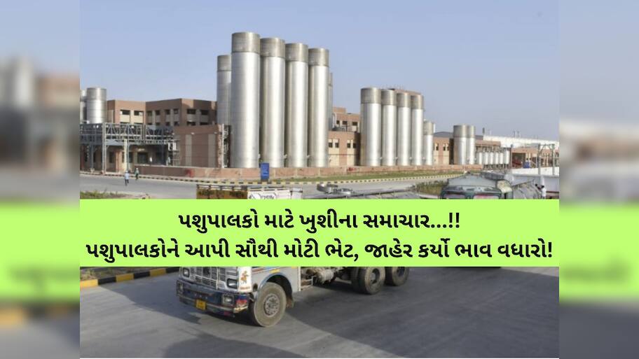 પશુપાલકોને બખ્ખાં! ઉત્તર ગુજરાતની આ ડેરીએ જાહેર કર્યો 29090800000 રૂપિયાનો ઐતિહાસિક ભાવફેર નફો
