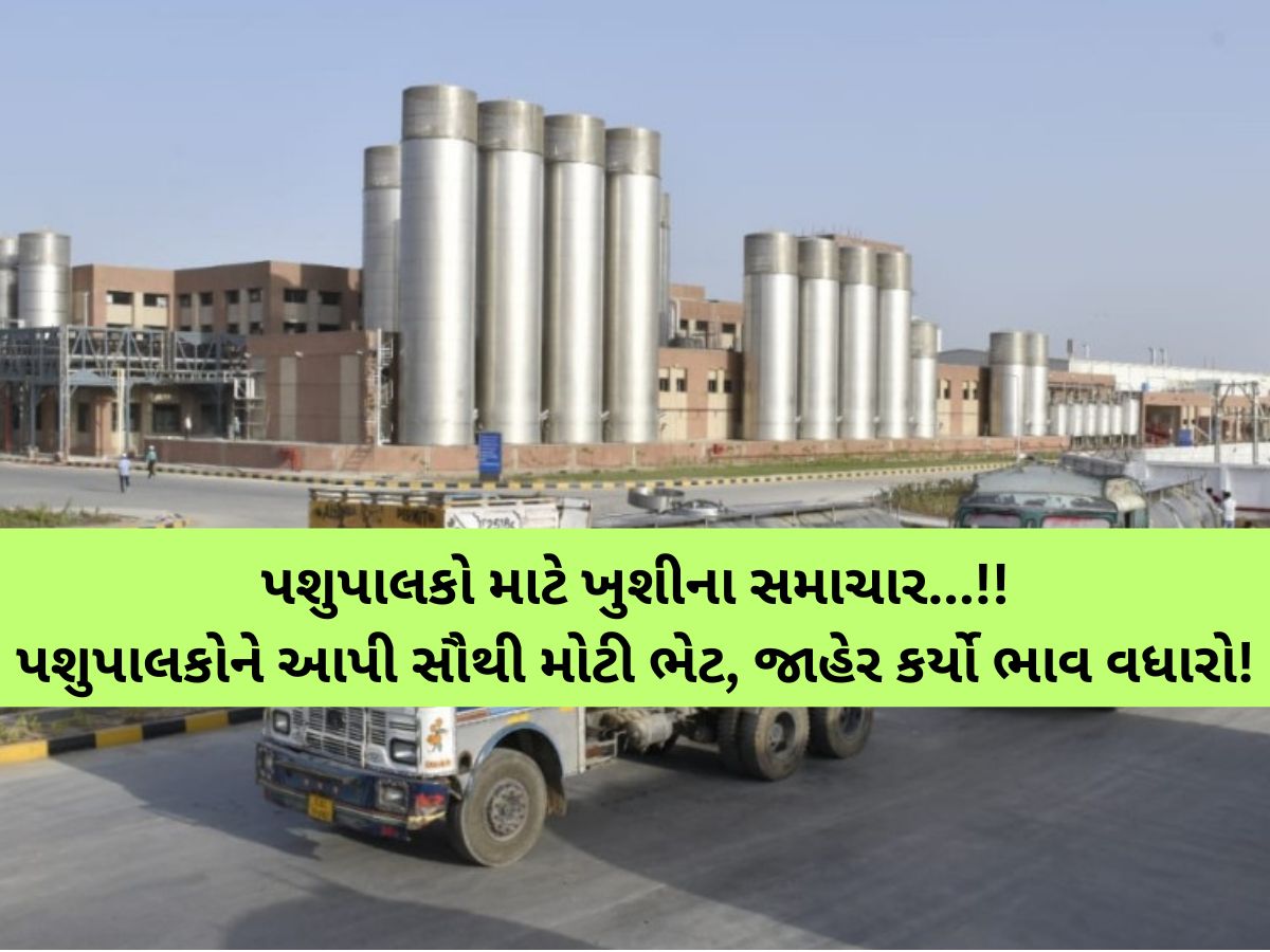 પશુપાલકોને બખ્ખાં! ઉત્તર ગુજરાતની આ ડેરીએ જાહેર કર્યો 29090800000 રૂપિયાનો ઐતિહાસિક ભાવફેર નફો પશુપાલકોને બખ્ખાં! ઉત્તર ગુજરાતની આ ડેરીએ જાહેર કર્યો 29090800000 રૂપિયાનો ઐતિહાસિક ભાવફેર નફો