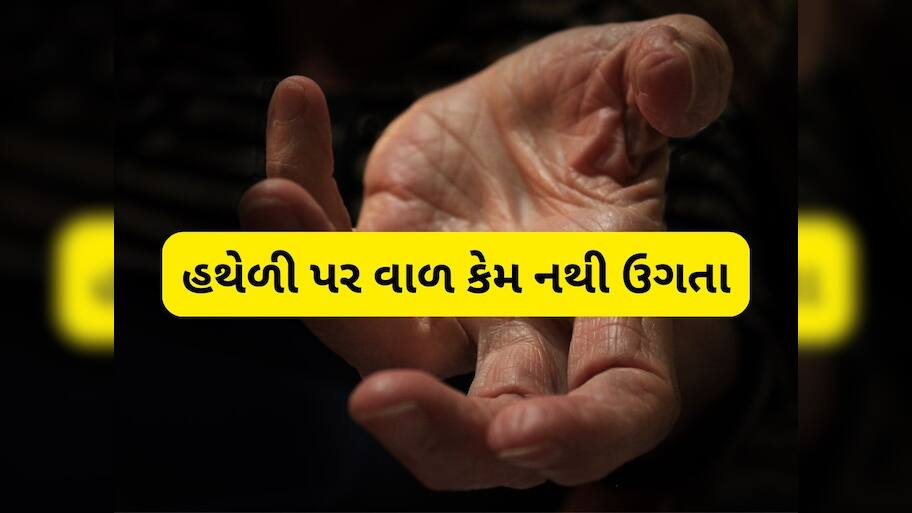 હથેળી પર કેમ નથી ઉગતા વાળ, આખરે શું છે તેનું કારણ? 99% લોકો નથી જાણતા આ ફેક્ટ