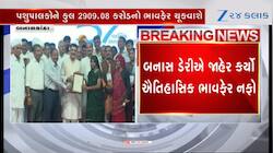 Video: બનાસ ડેરીનો પશુપાલકોના હિતમાં ઐતિહાસિક નિર્ણય, ચેરમેન શંકર ચૌધરીએ કરી જાહેરાત