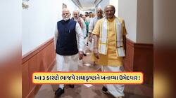 BJPના એક તીરથી 3 નિશાન ! આ વિવાદોથી ભાજપને મુક્તિ અપાવશે સીપી રાધાકૃષ્ણન, જાણો
