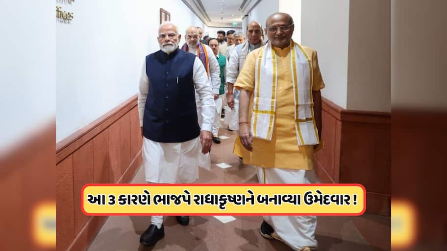 BJPના એક તીરથી 3 નિશાન ! આ વિવાદોથી ભાજપને મુક્તિ અપાવશે સીપી રાધાકૃષ્ણન, જાણો