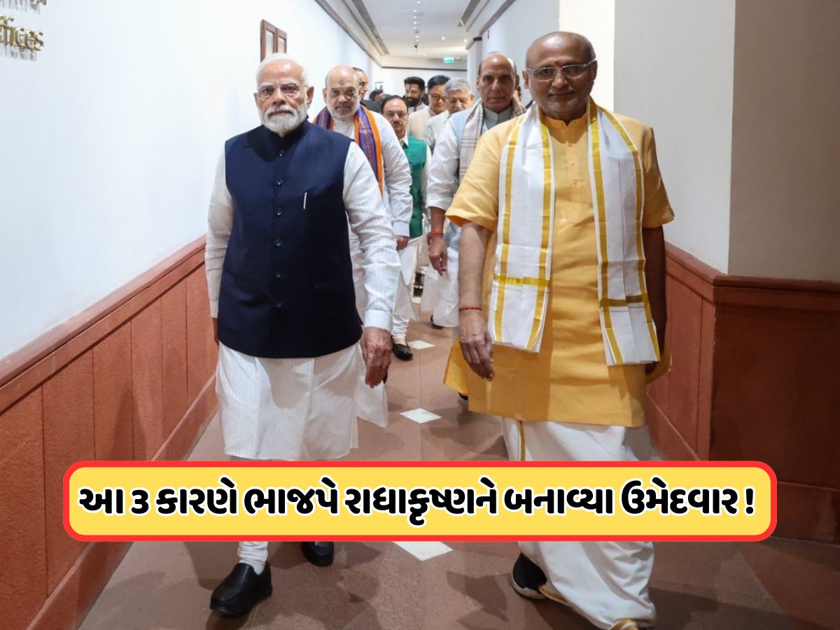 BJPના એક તીરથી 3 નિશાન ! આ વિવાદોથી ભાજપને મુક્તિ અપાવશે સીપી રાધાકૃષ્ણન, જાણો BJPના એક તીરથી 3 નિશાન ! આ વિવાદોથી ભાજપને મુક્તિ અપાવશે સીપી રાધાકૃષ્ણન, જાણો
