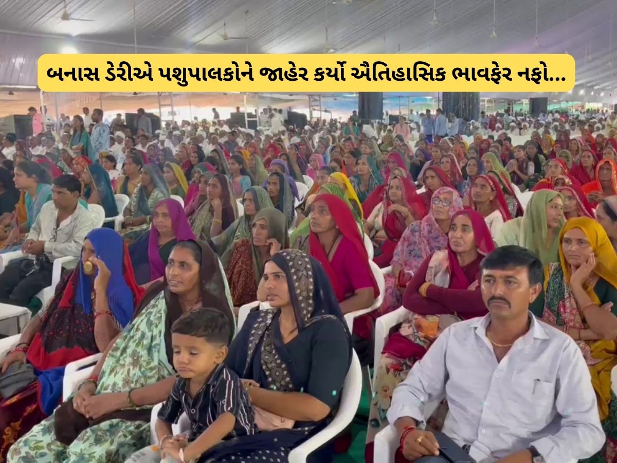 બનાસની બહેનોની ખુશી છલકાઈ! મેં વર્ષમાં 2 કરોડ 4 લાખનું દૂધ ડેરીમાં ભરાવ્યું છે, મારો પ્રથમ નંબર આવ્યો બનાસની બહેનોની ખુશી છલકાઈ! મેં વર્ષમાં 2 કરોડ 4 લાખનું દૂધ ડેરીમાં ભરાવ્યું છે, મારો પ્રથમ નંબર આવ્યો
