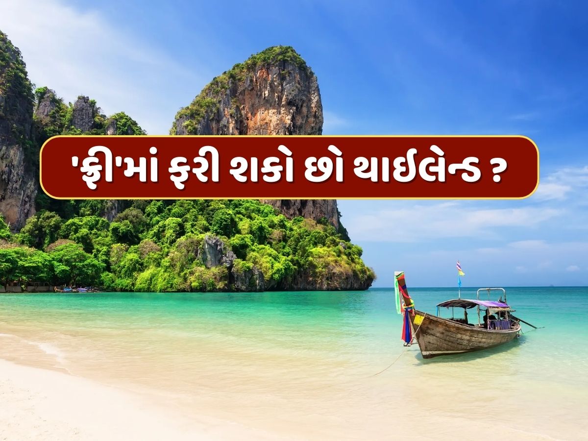 વાહ ! હવે 'ફ્રી'માં ફરી શકો છો થાઇલેન્ડ ? ડોમેસ્ટિક ફ્લાઇટ્સ માટે પણ નહીં ચૂકવવા પડે પૈસા ! વાહ ! હવે 'ફ્રી'માં ફરી શકો છો થાઇલેન્ડ ? ડોમેસ્ટિક ફ્લાઇટ્સ માટે પણ નહીં ચૂકવવા પડે પૈસા !
