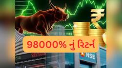 Multibagger Stocks: આ શેર નીકળ્યો સોનાનો ખજાનો, 1 લાખના બનાવી દીધા 10 કરોડ રૂપિયા