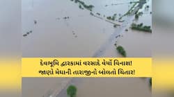 દેવભૂમિ દ્વારકામાં જબરદસ્ત પૂર! ભારે વરસાદના રૌદ્ર સ્વરૂપમાં 42 ગામ અસ્તવ્યસ્ત, જાણો