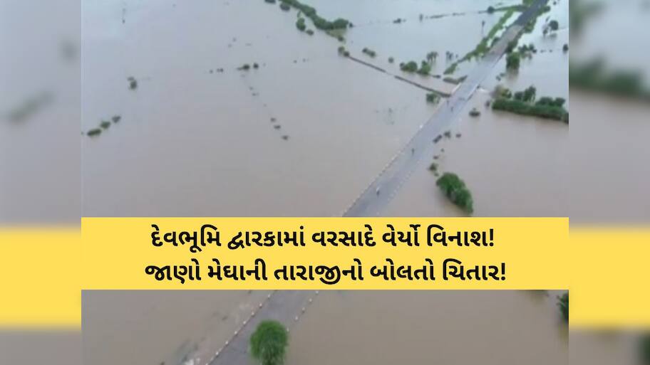 દેવભૂમિ દ્વારકામાં જબરદસ્ત પૂર! ભારે વરસાદના રૌદ્ર સ્વરૂપમાં 42 ગામ અસ્તવ્યસ્ત, જાણો કેવી છે સ્થિતિ?