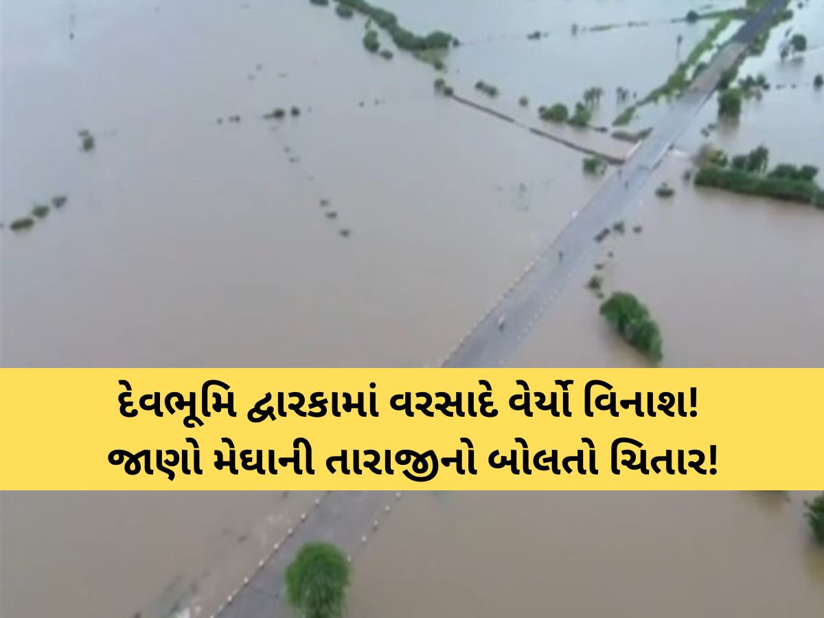 દેવભૂમિ દ્વારકામાં જબરદસ્ત પૂર! ભારે વરસાદના રૌદ્ર સ્વરૂપમાં 42 ગામ અસ્તવ્યસ્ત, જાણો કેવી છે સ્થિતિ? દેવભૂમિ દ્વારકામાં જબરદસ્ત પૂર! ભારે વરસાદના રૌદ્ર સ્વરૂપમાં 42 ગામ અસ્તવ્યસ્ત, જાણો કેવી છે સ્થિતિ?