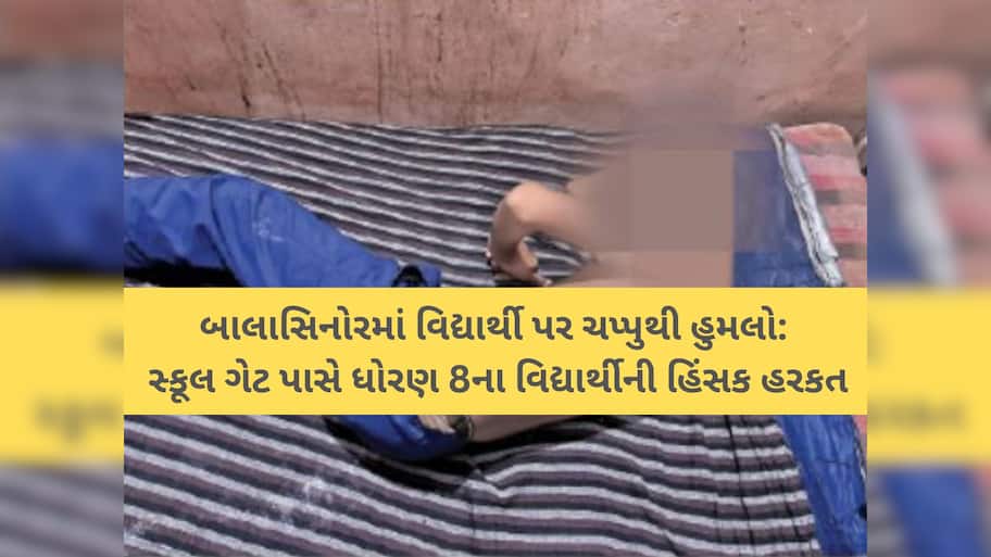 'ખભા, બગલ, પેટ અને પેઢાના ભાગે ચપ્પાના ઘા માર્યા! અમદાવાદ બાદ મહીસાગરમાં વિદ્યાર્થી પર જીવલેણ હુમલો! 