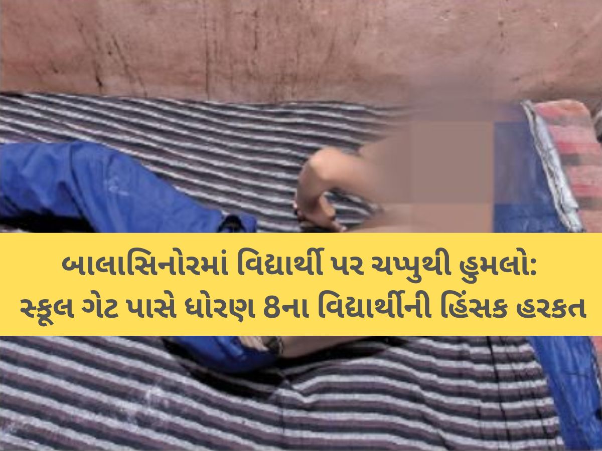 'ખભા, બગલ, પેટ અને પેઢાના ભાગે ચપ્પાના ઘા માર્યા! અમદાવાદ બાદ મહીસાગરમાં વિદ્યાર્થી પર જીવલેણ હુમલો! 'ખભા, બગલ, પેટ અને પેઢાના ભાગે ચપ્પાના ઘા માર્યા! અમદાવાદ બાદ મહીસાગરમાં વિદ્યાર્થી પર જીવલેણ હુમલો!
