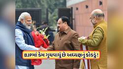 ભાજપને ક્યારે મળી શકે છે નવા રાષ્ટ્રીય અધ્યક્ષ, મળી ગઈ જાણકારી, કારણ આવ્યું સામે