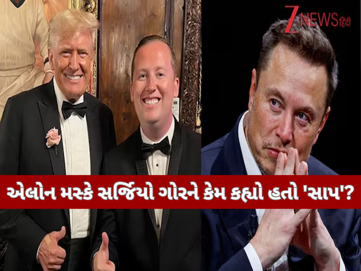એલોન મસ્કે જેને કહ્યો હતો 'સાપ', ડોનાલ્ડ ટ્રમ્પે તેમને કેમ બનાવી દીધા ભારતમાં USના રાજદૂત એલોન મસ્કે જેને કહ્યો હતો 'સાપ', ડોનાલ્ડ ટ્રમ્પે તેમને કેમ બનાવી દીધા ભારતમાં USના રાજદૂત