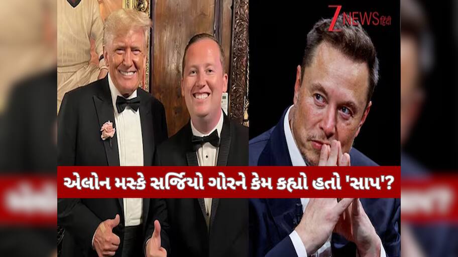 એલોન મસ્કે જેને કહ્યો હતો 'સાપ', ડોનાલ્ડ ટ્રમ્પે તેમને કેમ બનાવી દીધા ભારતમાં USના રાજદૂત