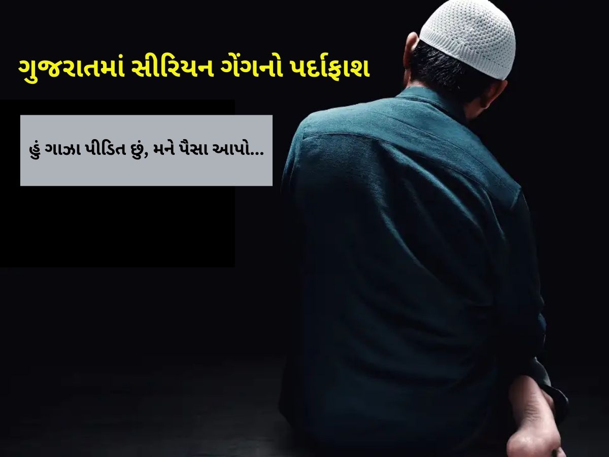 ગુજરાતમાં ગાઝા પીડિતના નામે રૂપિયા પડાવતી વિદેશી ગેંગ પકડાઈ, આ સંસ્થાઓને ટાર્ગેટ બનાવતી ગુજરાતમાં ગાઝા પીડિતના નામે રૂપિયા પડાવતી વિદેશી ગેંગ પકડાઈ, આ સંસ્થાઓને ટાર્ગેટ બનાવતી