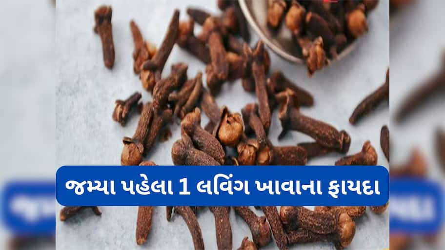 Cloves Benefits: ઔષધીય ગુણોથી ભરપુર લવિંગ ભોજનનો સ્વાદ વધારવાની સાથે આ બીમારીઓથી અપાવે છે છુટકારો
