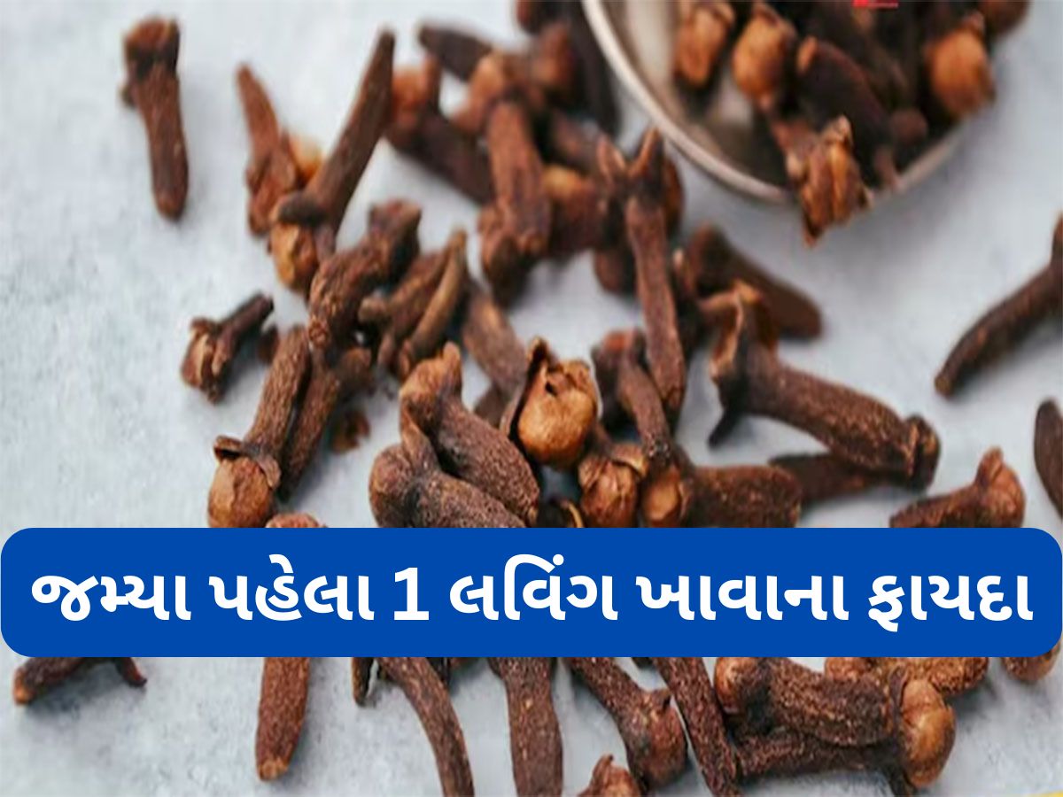 Cloves Benefits: ઔષધીય ગુણોથી ભરપુર લવિંગ ભોજનનો સ્વાદ વધારવાની સાથે આ બીમારીઓથી અપાવે છે છુટકારો Cloves Benefits: ઔષધીય ગુણોથી ભરપુર લવિંગ ભોજનનો સ્વાદ વધારવાની સાથે આ બીમારીઓથી અપાવે છે છુટકારો