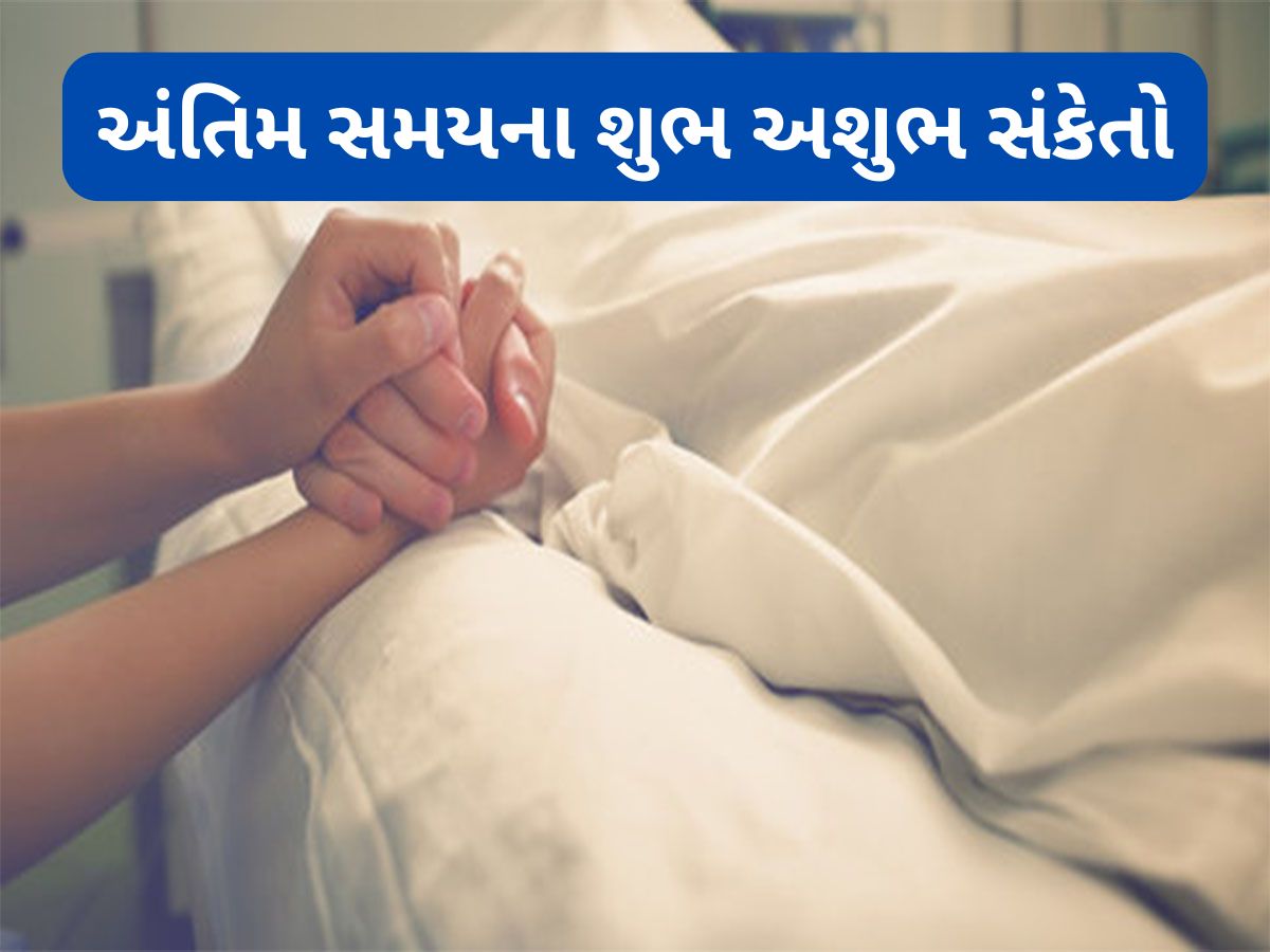 Antim Samay: મૃત્યુ સમયના શુભ અને અશુભ સંકેત, વ્યક્તિના અંતિમ સમયનું વાતાવરણ આત્માને કરે પ્રભાવિત Antim Samay: મૃત્યુ સમયના શુભ અને અશુભ સંકેત, વ્યક્તિના અંતિમ સમયનું વાતાવરણ આત્માને કરે પ્રભાવિત