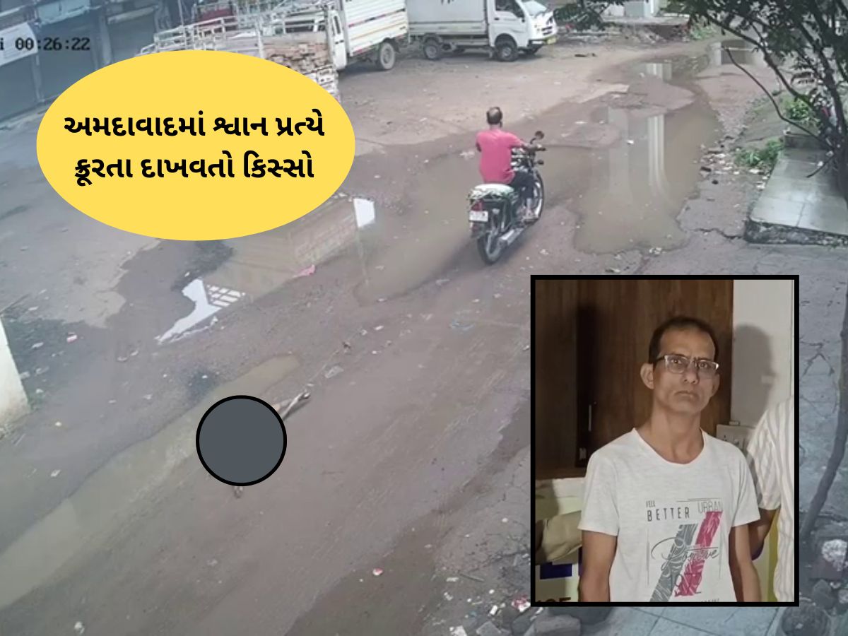 દીકરીને કૂતરું કરડ્યું, તો પિતાએ બાઈક સાથે બાંધીને ઢસડીને મારી નાંખ્યું! અમદાવાદનો ક્રુરતાભર્યો કિસ્સો દીકરીને કૂતરું કરડ્યું, તો પિતાએ બાઈક સાથે બાંધીને ઢસડીને મારી નાંખ્યું! અમદાવાદનો ક્રુરતાભર્યો કિસ્સો