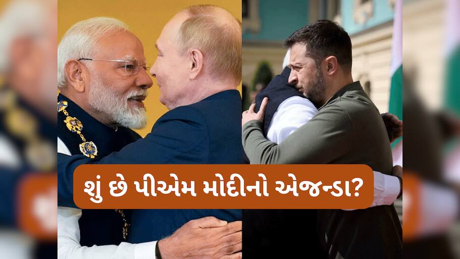 ટ્રમ્પે વિચાર્યું પણ નહીં હોય એવડો મોટો ઝટકો મળશે! પુતિન જ નહીં ઝેલેન્સ્કી પણ આવશે ભારત