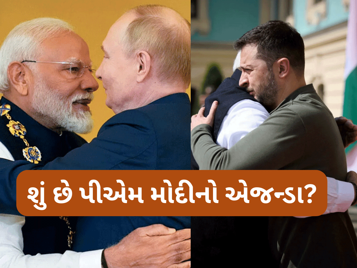 ટ્રમ્પે વિચાર્યું પણ નહીં હોય એવડો મોટો ઝટકો મળશે! પુતિન જ નહીં ઝેલેન્સ્કી પણ આવશે ભારત ટ્રમ્પે વિચાર્યું પણ નહીં હોય એવડો મોટો ઝટકો મળશે! પુતિન જ નહીં ઝેલેન્સ્કી પણ આવશે ભારત