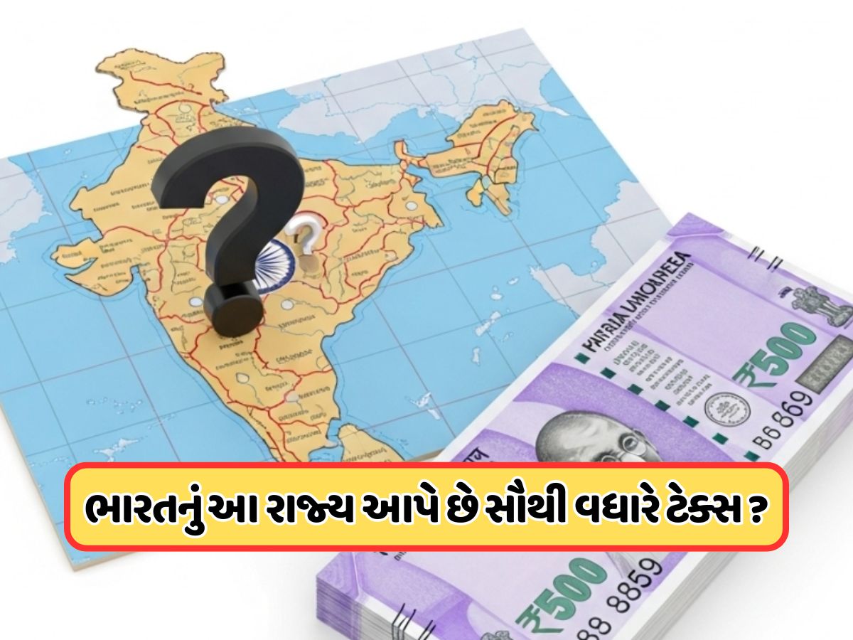 આ રાજ્યના લોકો આપે છે સૌથી વધારે ટેક્સ ? જાણો ટોપના 5 સ્ટેટમાં કેટલામું છે ગુજરાતનું નામ ? જાણો આ રાજ્યના લોકો આપે છે સૌથી વધારે ટેક્સ ? જાણો ટોપના 5 સ્ટેટમાં કેટલામું છે ગુજરાતનું નામ ? જાણો