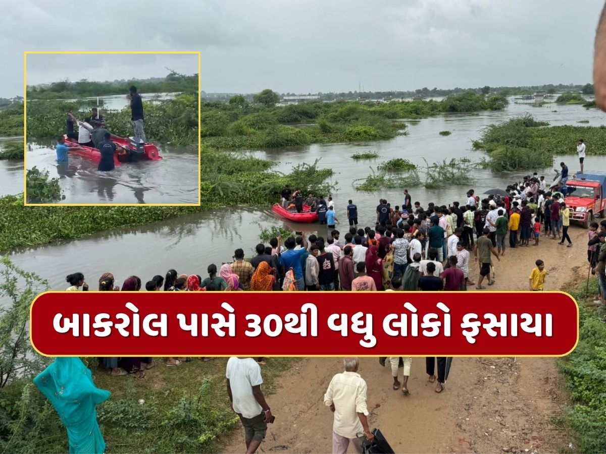 અમદાવાદના બાકરોલ પાસે નદીમાં 30થી વધુ લોકો ફસાયા, ફાયર બ્રિગેડે શરૂ કર્યું રેસ્કયુ, જુઓ Video અમદાવાદના બાકરોલ પાસે નદીમાં 30થી વધુ લોકો ફસાયા, ફાયર બ્રિગેડે શરૂ કર્યું રેસ્કયુ, જુઓ Video